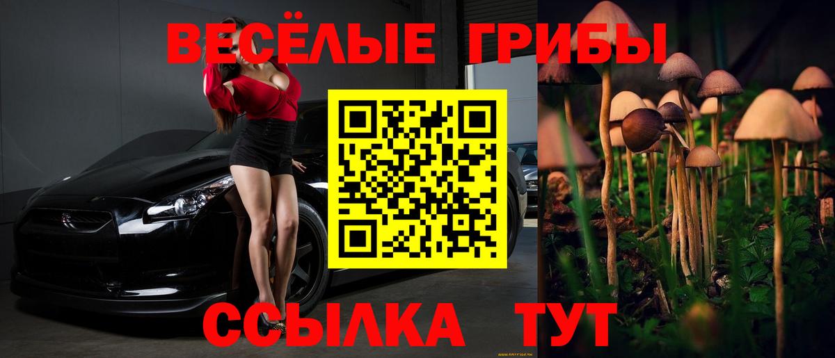 Галлюциногенные грибы Psilocybine cubensis Калач-на-Дону